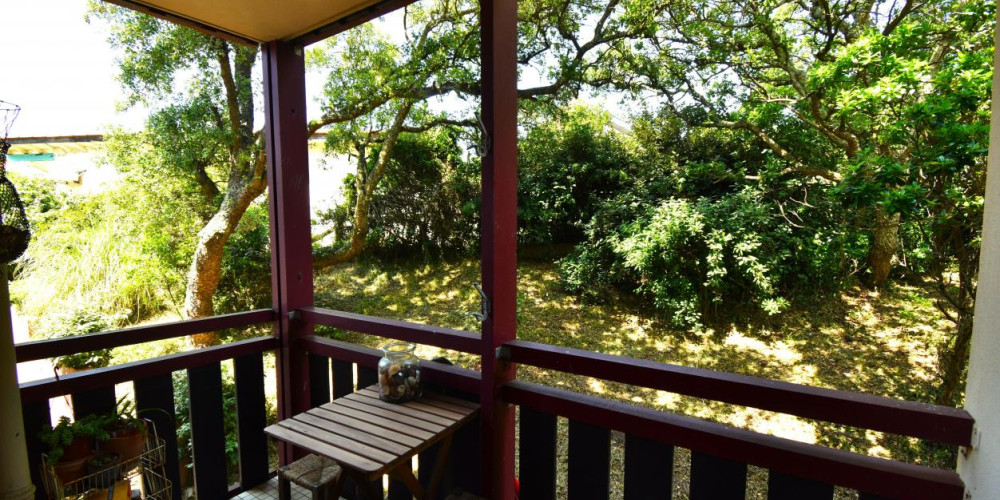 appartement à SOORTS HOSSEGOR (40150)